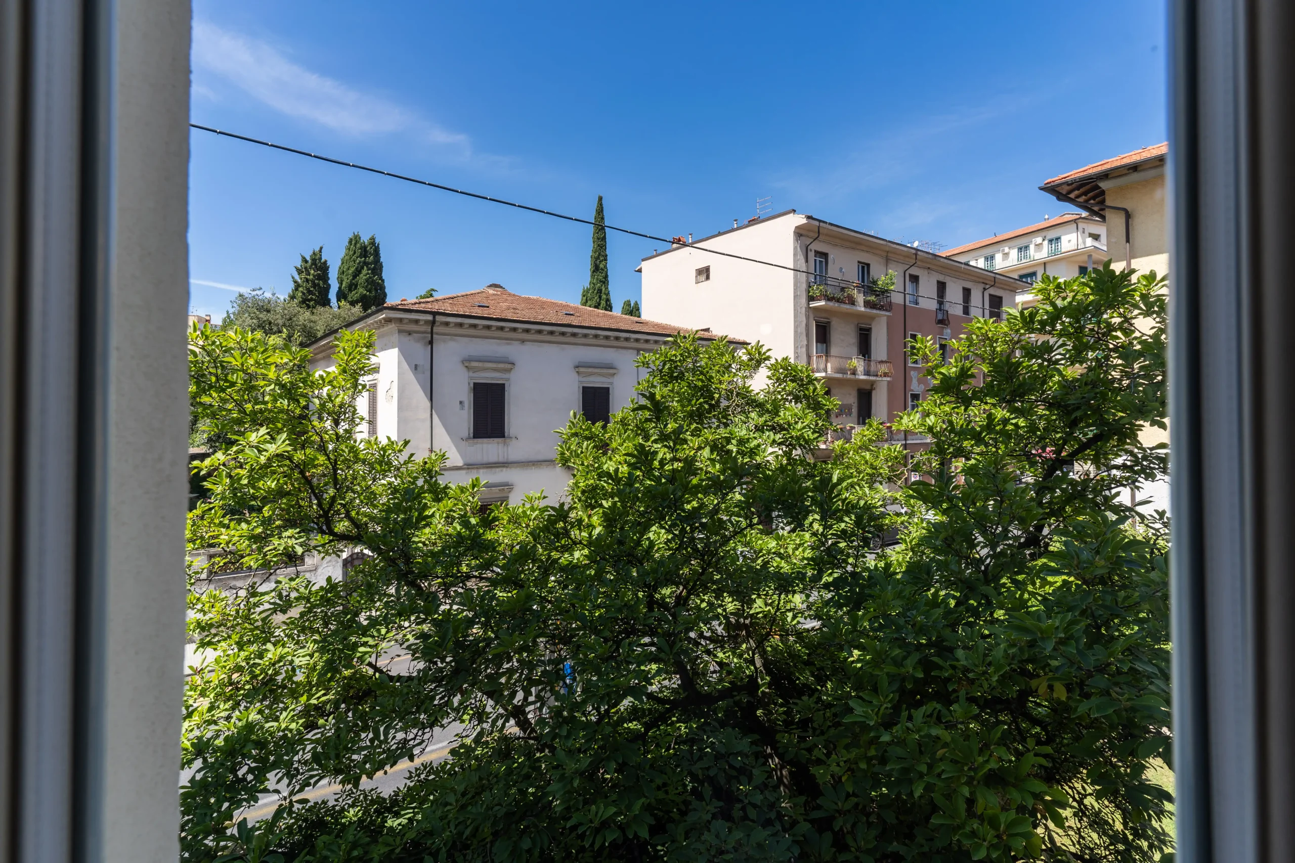 White Moon – 10 White Moon - 10